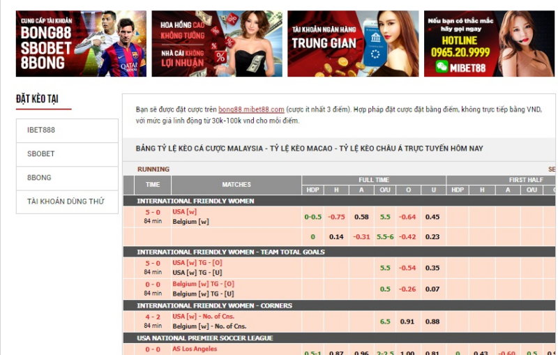 Cá độ thể thao hấp dẫn tại nhà cái