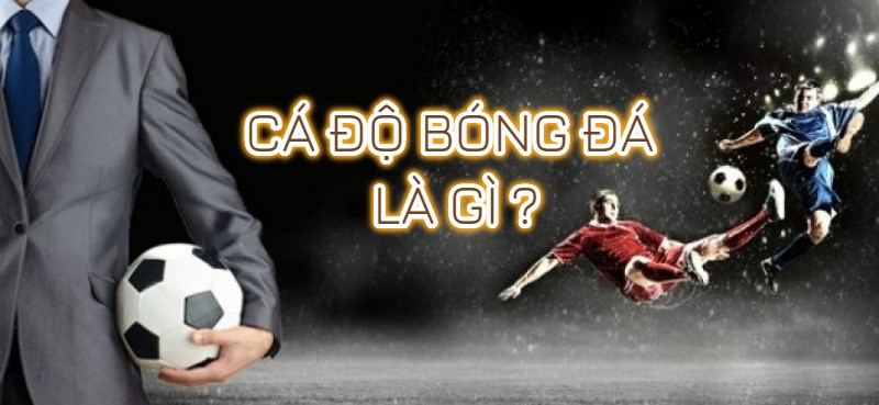 Cá độ bóng đá là gì? Nên chơi cá độ bóng đá như thế nào thì chuẩn?
