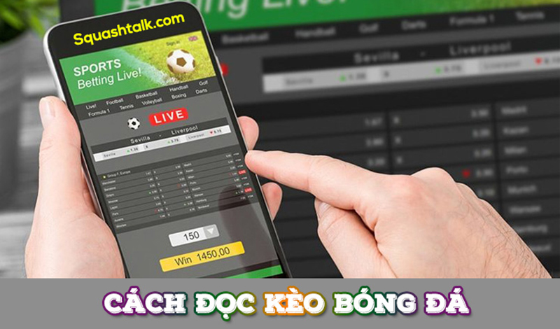 Tiết lộ cách đọc kèo bóng đá trên mạng dễ hiểu dành cho tân thủ