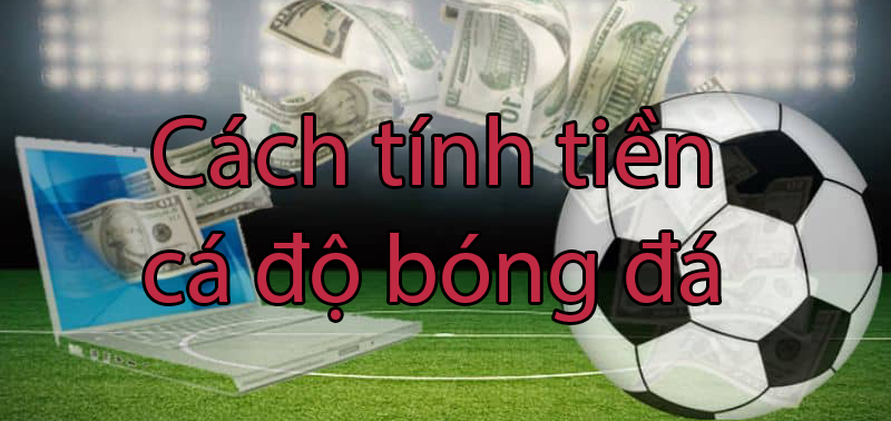 Hướng dẫn cách tính tiền cá độ bóng đá dành cho người mới chơi