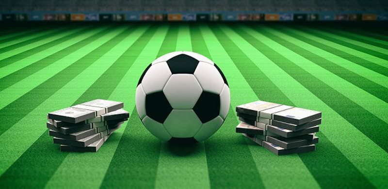Hướng dẫn cách đặt cược bóng đá dễ hiểu dành cho người mới