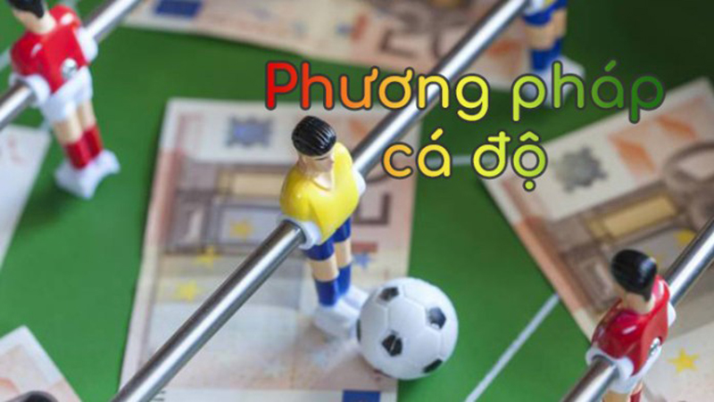 Khám phá 2 phương pháp cá độ bóng đá online rất hiệu quả