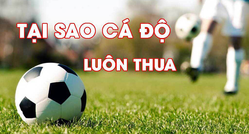 Tại sao cá độ bóng đá luôn thua dù soi kèo bóng rất chuẩn?