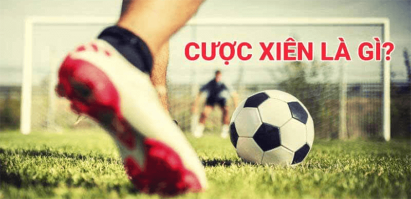 Cược xiên là gì? Hướng dẫn cách đánh xiên bóng đá dễ hiểu