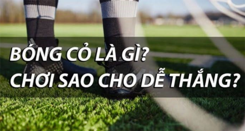 Soi kèo bóng cỏ là gì? Bật mí một số kinh nghiệm bắt kèo bóng cỏ