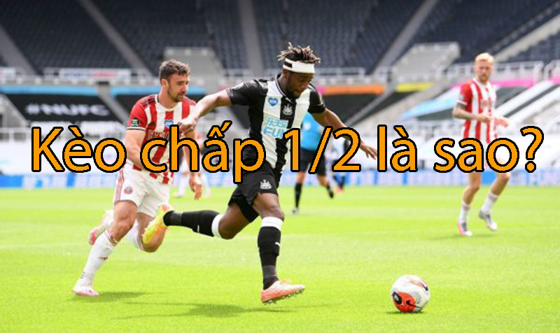 Kèo chấp 1/2 là sao? Cách đọc tỷ lệ kèo chấp 1/2 trái có khó không?