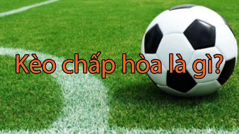 Kèo chấp hòa là gì? Mẹo đọc tỷ lệ kèo chấp hòa trong cá độ bóng đá