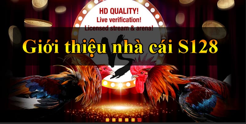 S128 Tổng quan về nhà cái S128