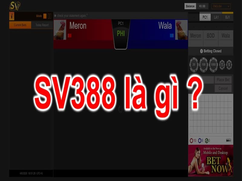 Chọn địa chỉ cá cược SV388 nên cẩn trọng